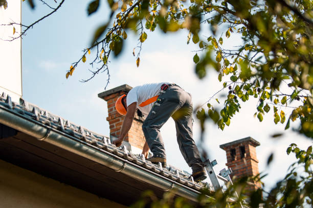 Quick and Trustworthy Emergency Roof Repair Services in Stedman, NC