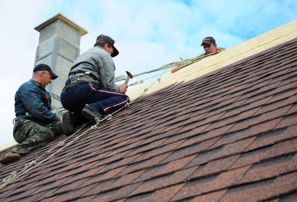 Best Flat Roof Repair Services  in Stedman, NC